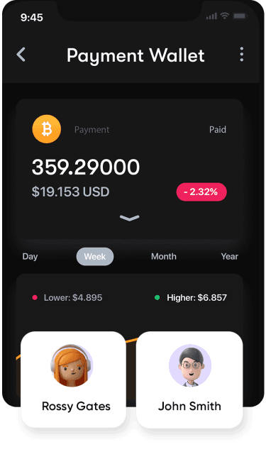 Mobile Wallet interface layout overview