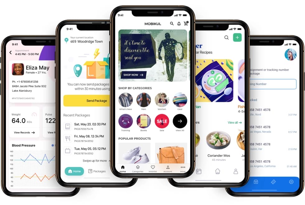 Fido App Development multi device interface overview display mockup